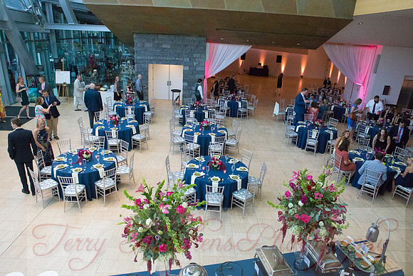 Reception 033