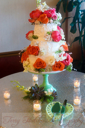 Ryan and Erica formals reception 251