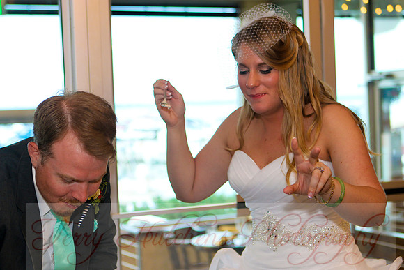 Ryan and Erica formals reception 375