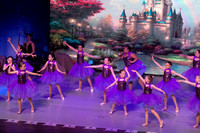 14 - Lilac Fairy Attendants 07