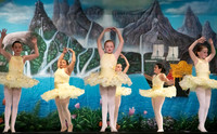 Forest Fairies F 11