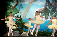 Forest Fairies F 08