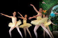 Forest Fairies F 18