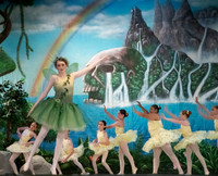 Forest Fairies F 03