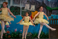 Forest Fairies F 13