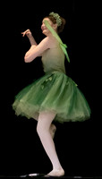 Forest Fairies F 05