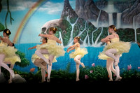 Forest Fairies F 16