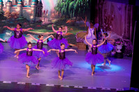 14 - Lilac Fairy Attendants 06