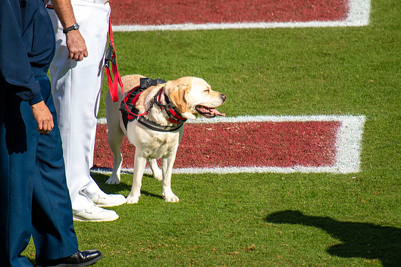 VT Wake football 05