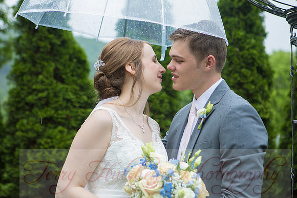 Wedding 341