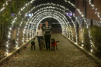 2023 Mary Craig dogs Christmas 05