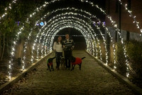 2023 Mary Craig dogs Christmas 03