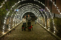 2023 Mary Craig dogs Christmas 02