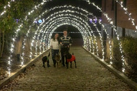 2023 Mary Craig dogs Christmas 04