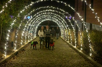 2023 Mary Craig dogs Christmas 01