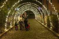 2023 Mary Craig dogs Christmas 06