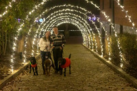 2023 Mary Craig dogs Christmas 07