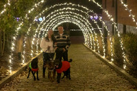 2023 Mary Craig dogs Christmas 08
