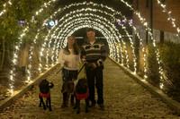 2023 Mary Craig dogs Christmas 09