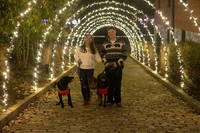 2023 Mary Craig dogs Christmas 11