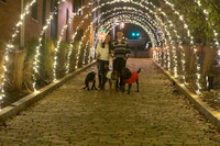 2023 Mary Craig dogs Christmas 12