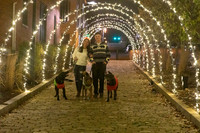 2023 Mary Craig dogs Christmas 13