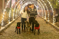 2023 Mary Craig dogs Christmas 16
