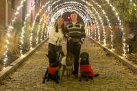 2023 Mary Craig dogs Christmas 17