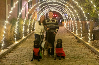 2023 Mary Craig dogs Christmas 19