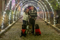 2023 Mary Craig dogs Christmas 18