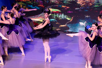 2- Once Upon a Dream 14
