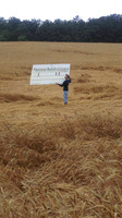 Freedom Baptist storm damage 3