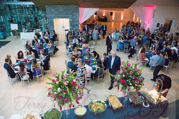 Reception 119